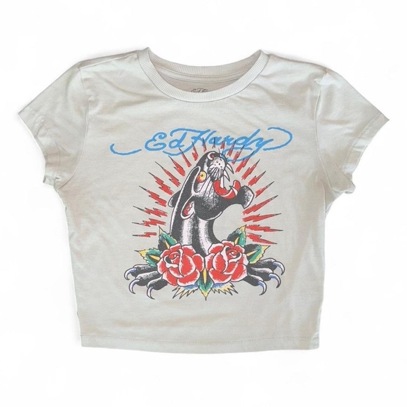 Ed Hardy Tops - Ed Hardy Y2K Light Grey Graphic Baby Tee 2000s Crew Neck Short Sleeve T-shirt sm
